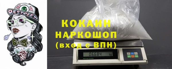 индика Волоколамск