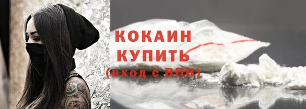 индика Волоколамск