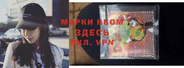 индика Волоколамск