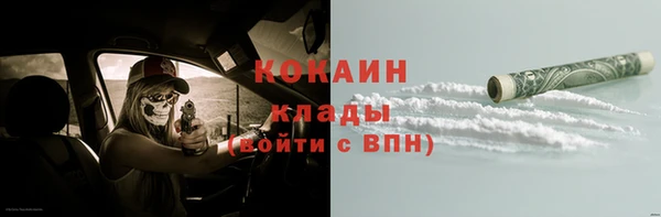 индика Волоколамск