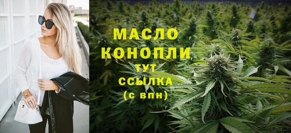 индика Волоколамск