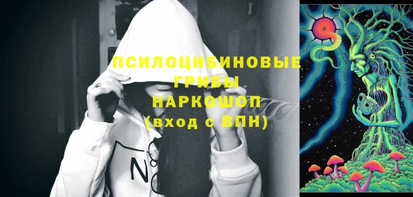 индика Волоколамск