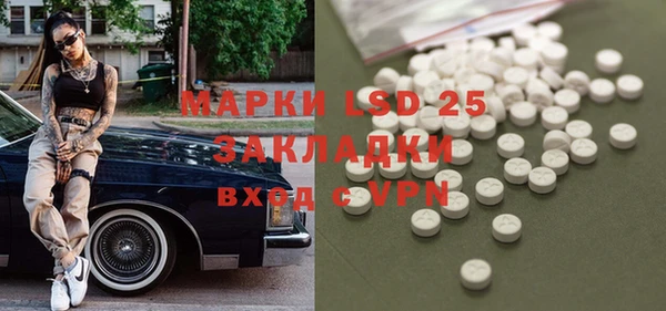 индика Волоколамск
