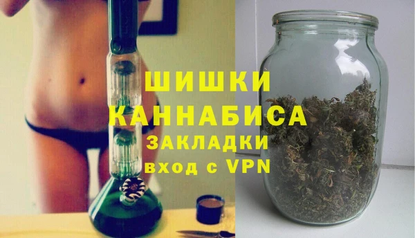 индика Волоколамск