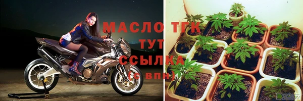 индика Волоколамск