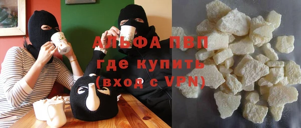 индика Волоколамск