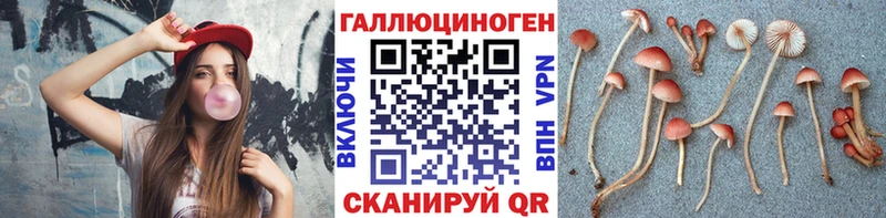 Купить закладки  Советская Гавань  Галлюциногенные грибы Psilocybe 
